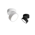 Adjustable LED Ceiling Light